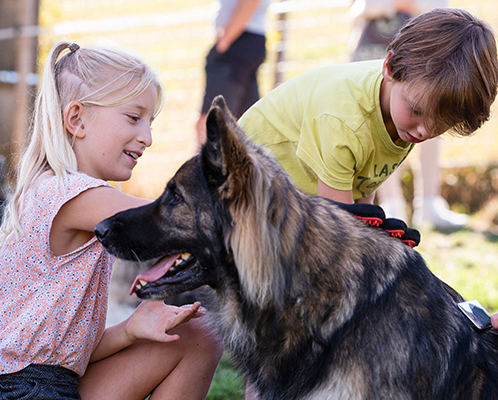 formations communication animale enfants